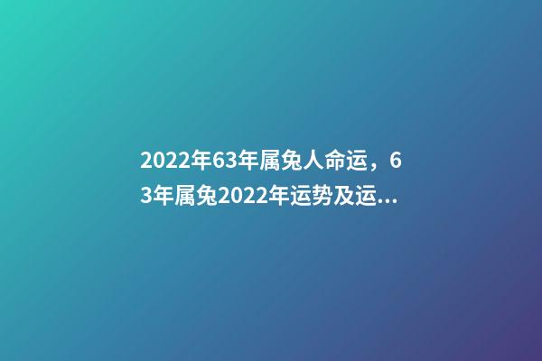 2022年63年属兔人命运，63年属兔2022年运势及运程 63年5月出生属兔运势，2022 年10月出生五行缺什么-第1张-观点-玄机派